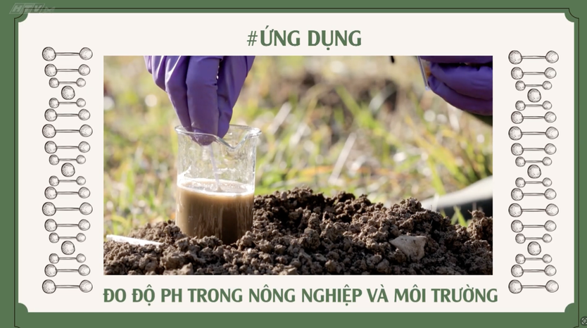 Góc nhỏ kỳ diệu - Sáng tạo với cánh hoa - Ảnh 11.