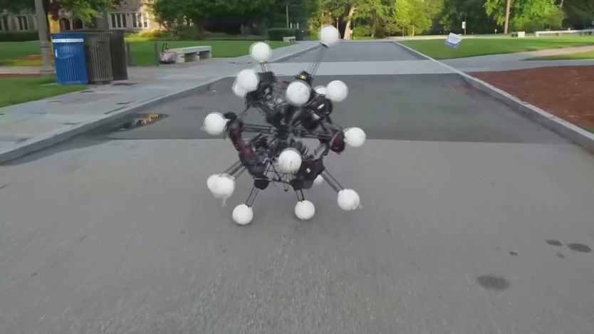 Kỳ lạ robot không đầu nhưng có 20 chân - Ảnh 1.