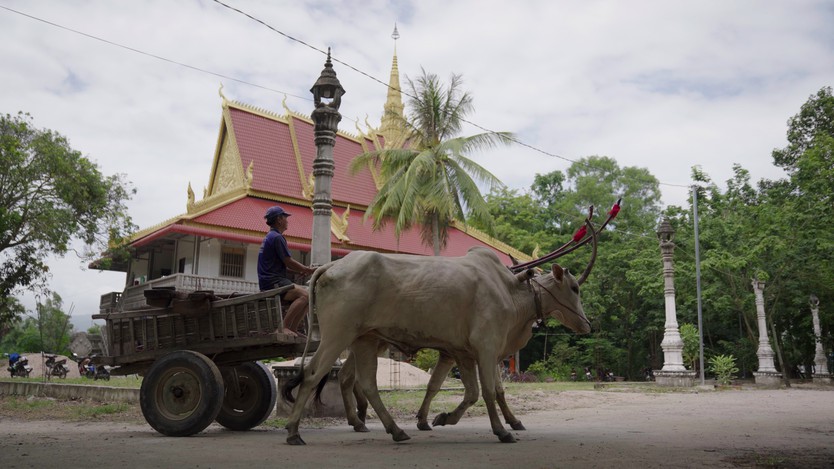 “Theo dấu vó bò” - Hành trình gìn giữ nhịp sống Khmer giữa vùng Bảy Núi - Ảnh 3.