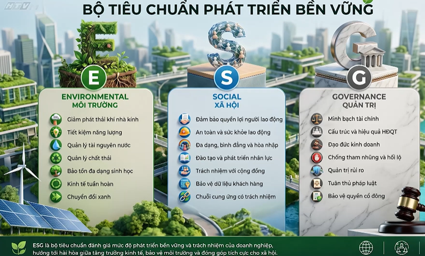Cùng HTV hành động xanh: Khởi nghiệp xanh - Khi tài nguyên bản địa trở thành lợi thế cạnh tranh - Ảnh 25.
