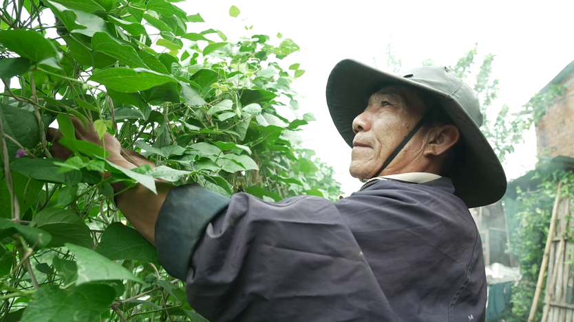 Mái ấm gia đình Việt: Cha mẹ ly hôn, Bích Phương lặng lẽ trưởng thành, chưa từng oán trách  - Ảnh 2.