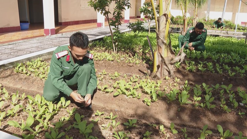 Những "lão nông" mặc áo lính dưới chân núi Minh Đạm - Ảnh 4.