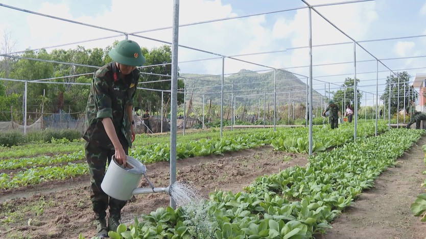 Những "lão nông" mặc áo lính dưới chân núi Minh Đạm - Ảnh 2.