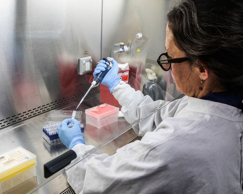 Argentina: điều tra nguồn gốc ổ dịch virus Hanta - Ảnh 1.
