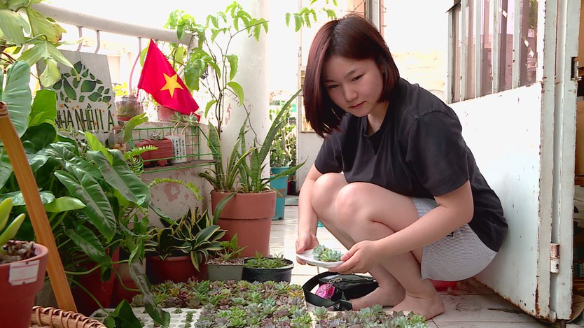 “Nhà Nhiều Lá” lan tỏa lối sống xanh trong giới trẻ TP. Hồ Chí Minh - Ảnh 3.