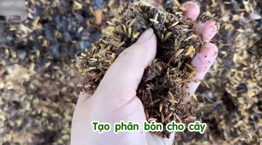 Gen Z và hành trình sống xanh từ những điều nhỏ nhất - Ảnh 14.