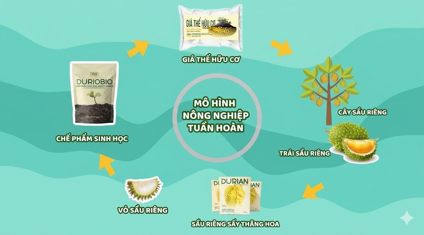 Gen Z và hành trình sống xanh từ những điều nhỏ nhất - Ảnh 11.