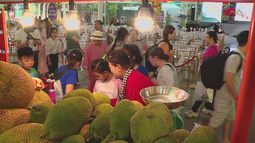 TP. Hồ Chí Minh: Khai mạc Lễ hội trái cây Nam Bộ lần thứ 22 - Ảnh 2.