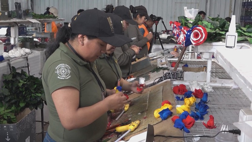 Ecuador biến hoa hồng thành quốc kỳ World Cup - Ảnh 2.