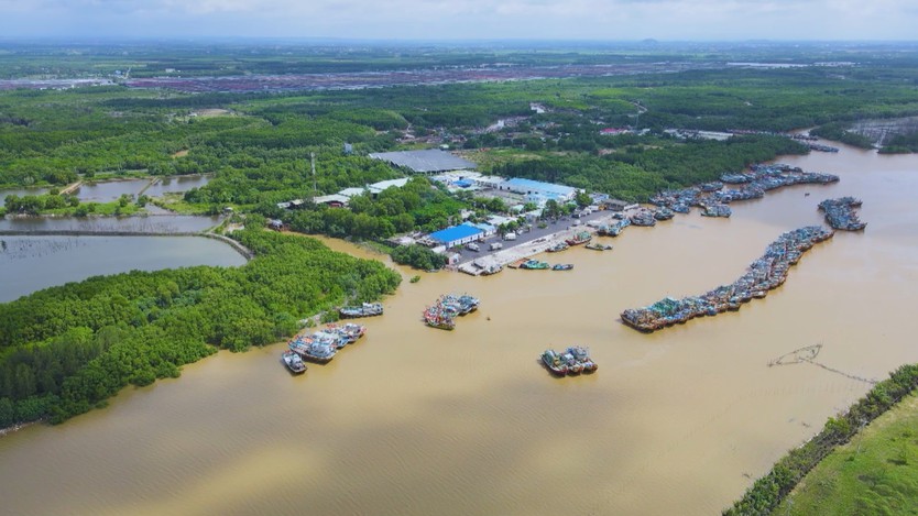 TP. Hồ Chí Minh quyết liệt chống khai thác IUU - Ảnh 1.