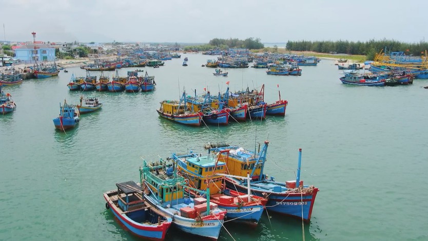 TP. Hồ Chí Minh quyết liệt chống khai thác IUU - Ảnh 3.