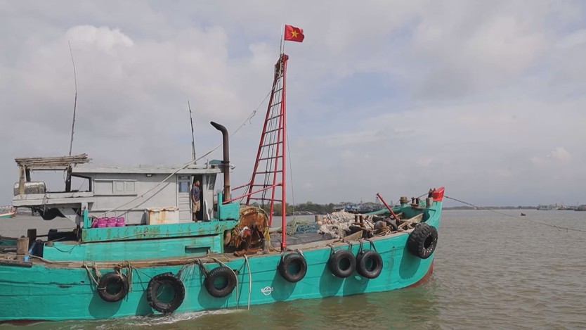 TP. Hồ Chí Minh quyết liệt chống khai thác IUU - Ảnh 2.