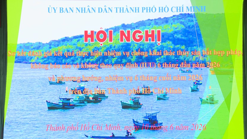 TP. Hồ Chí Minh quyết liệt chống khai thác IUU - Ảnh 5.