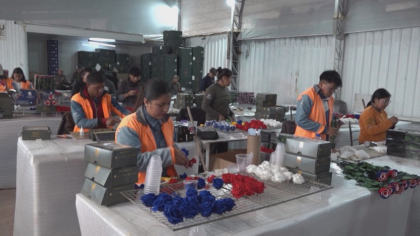 Biến hoa hồng thành quốc kỳ các đội dự World Cup - Ảnh 3.