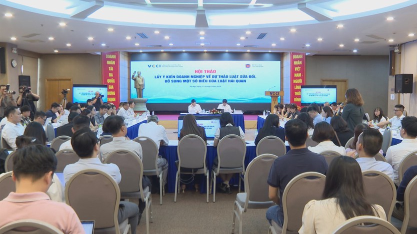 Doanh nghiệp góp ý hoàn thiện dự thảo Luật Hải quan sửa đổi- Ảnh 3.
