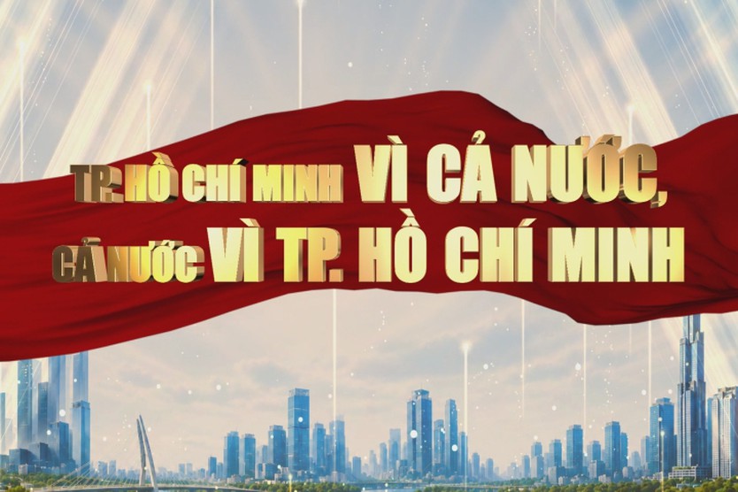 Hoàn thiện thể chế để TP. Hồ Chí Minh tiến đến biểu tượng phát triển năng động của cả nước - Ảnh 8.