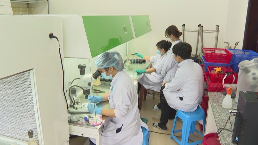 Từ phòng thí nghiệm đến công nghệ lõi Made in Vietnam - Ảnh 8.
