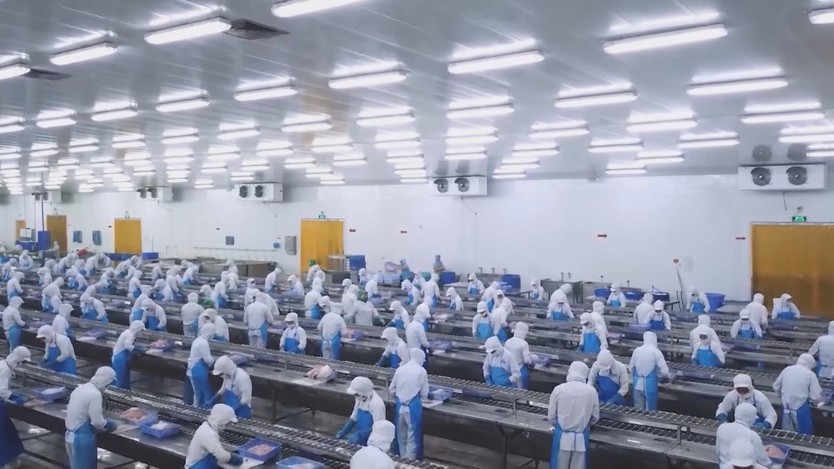 Nhập siêu tăng: Áp lực vĩ mô hay lực đẩy tăng trưởng?  - Ảnh 4.