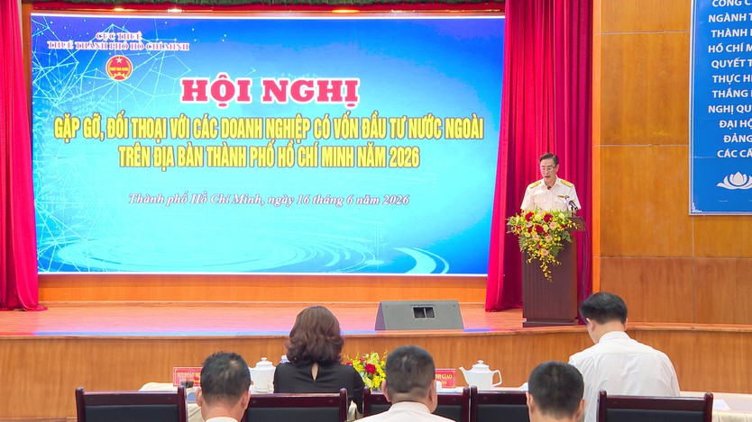 Thuế TP. Hồ Chí Minh đồng hành cùng doanh nghiệp FDI tháo gỡ vướng mắc - Ảnh 2.