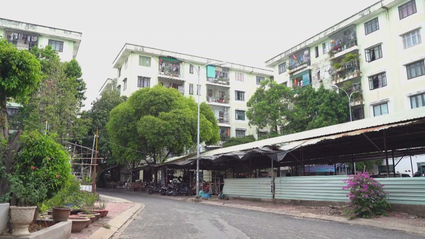 Nhiều bất cập trong thi hành Luật Đất đai 2024, chuyên gia đề xuất sớm sửa đổi, hoàn thiện- Ảnh 1.