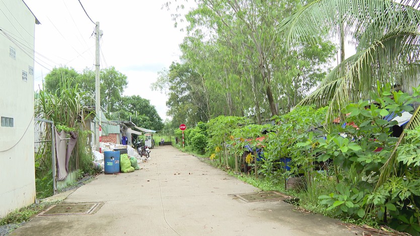 Nhiều bất cập trong thi hành Luật Đất đai 2024, chuyên gia đề xuất sớm sửa đổi, hoàn thiện- Ảnh 4.