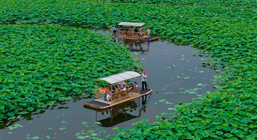 Sắc sen dệt nên bức tranh mùa hè Trung Hoa - Ảnh 21.