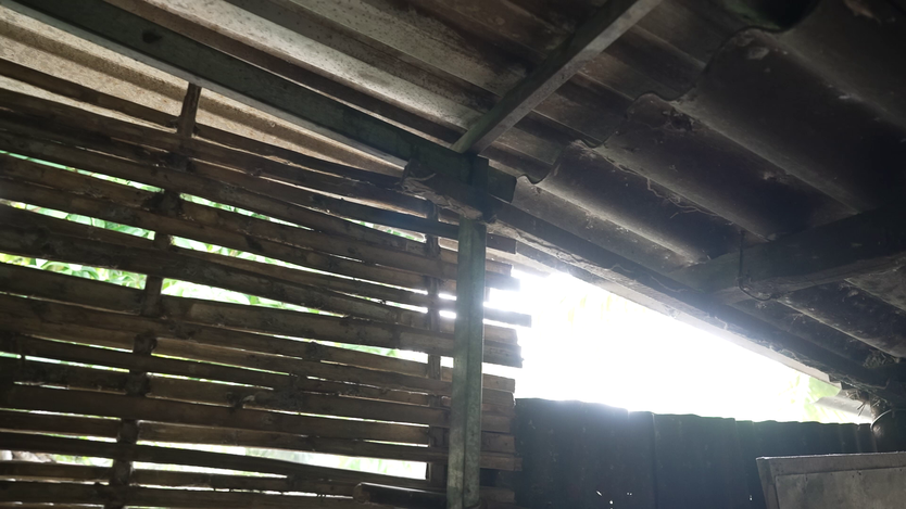 Mái ấm gia đình Việt: Uống nước cầm hơi, Hữu Trí nỗ lực học hành, đạt giải quốc gia - Ảnh 13.