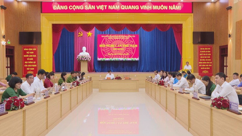 Phường Vũng Tàu: 6 tháng đầu năm 2026 kinh tế tăng trưởng ổn định, doanh thu đạt gần 20.700 tỷ đồng - Ảnh 1.