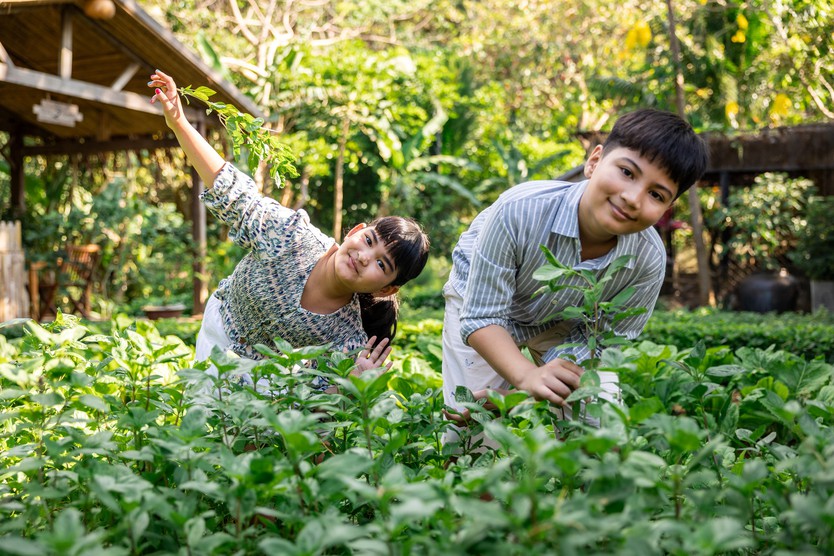 Khám phá Côn Đảo theo nhịp sống riêng cùng Six Senses - Ảnh 6.