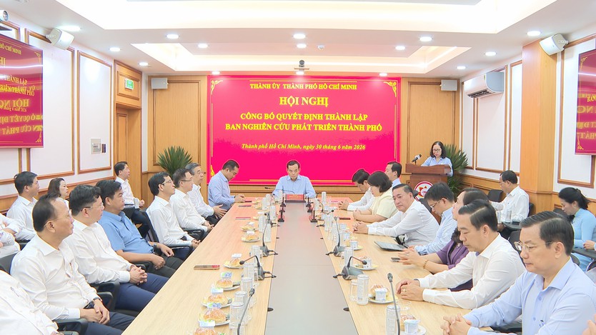 TP. Hồ Chí Minh thành lập Ban Nghiên cứu phát triển, thúc đẩy các cơ chế, chính sách đột phá - Ảnh 2.