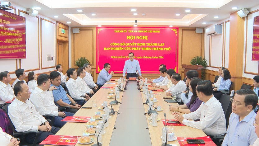 TP. Hồ Chí Minh thành lập Ban Nghiên cứu phát triển, thúc đẩy các cơ chế, chính sách đột phá - Ảnh 4.