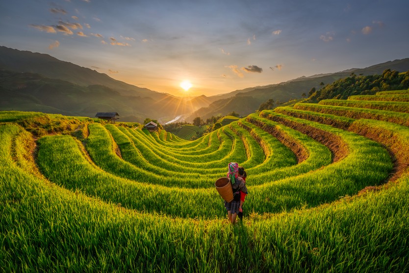 Banyan Group ra mắt chiến dịch "Vietnam For Every Season", quảng bá vẻ đẹp Việt Nam bốn mùa - Ảnh 4.