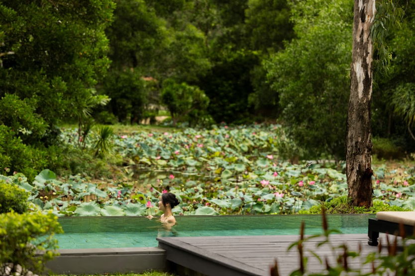 Banyan Group ra mắt chiến dịch "Vietnam For Every Season", quảng bá vẻ đẹp Việt Nam bốn mùa - Ảnh 3.