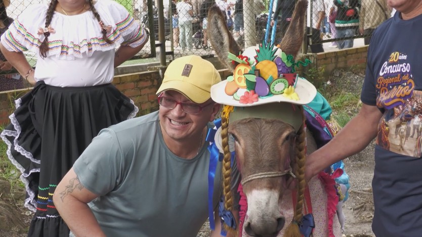 Sôi động Lễ hội Lừa tại Colombia - Ảnh 1.