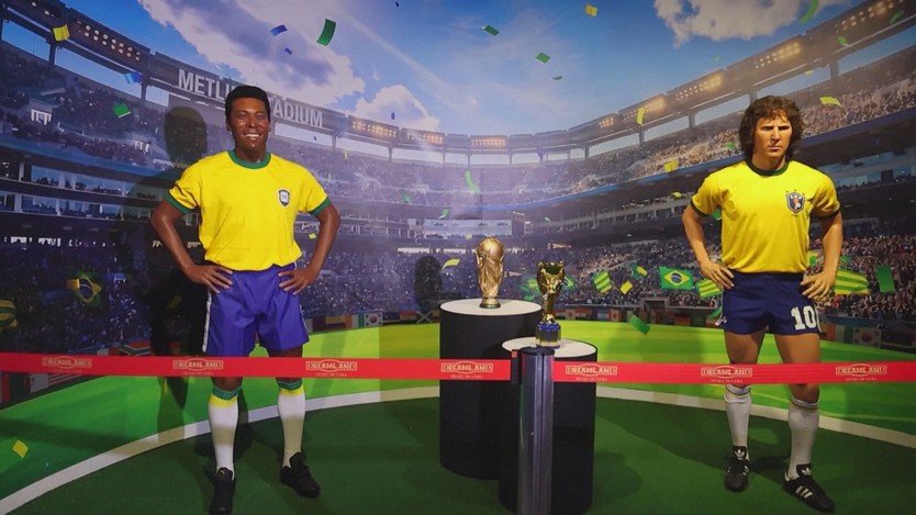 Cá mập dự đoán kết quả của tuyển Brazil tại World Cup- Ảnh 2.