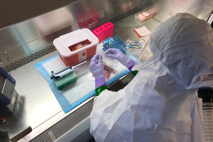 Congo: Mở phòng thí nghiệm giúp xác định nhanh virus Ebola- Ảnh 1.
