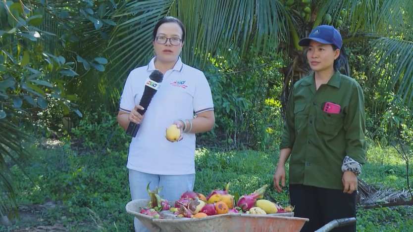 Côn Đảo nhân rộng mô hình giỏ lễ xanh tại các điểm di tích - Ảnh 1.