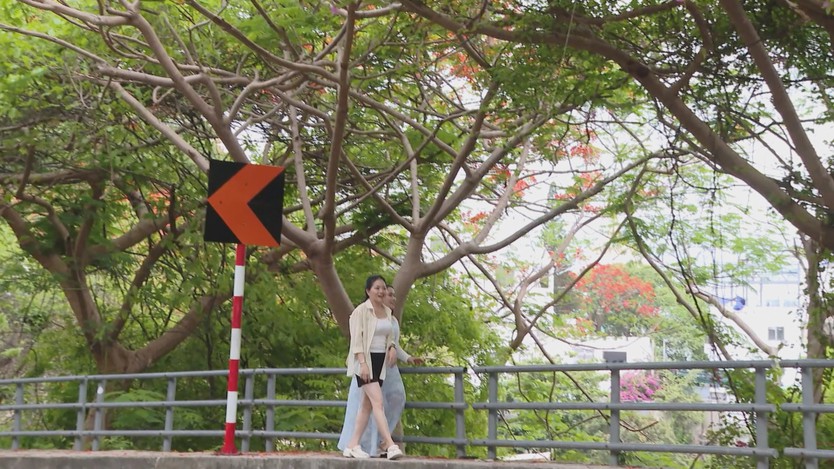 Đường lên Hải đăng Vũng Tàu đỏ rực hoa phượng- Ảnh 5.