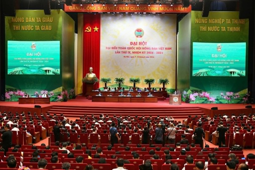 nông dân - Ảnh 4.