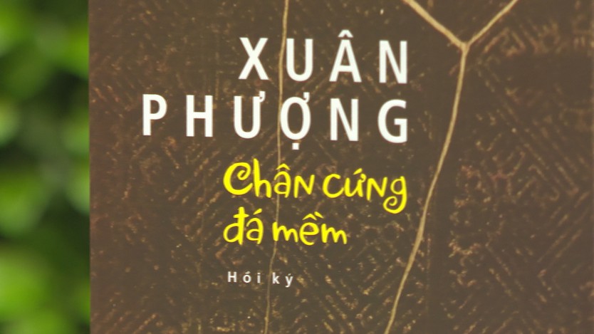 Hồi ký "Chân cứng đá mềm": Khắc họa nghị lực và khát vọng cống hiến của nhà văn Xuân Phượng- Ảnh 3.