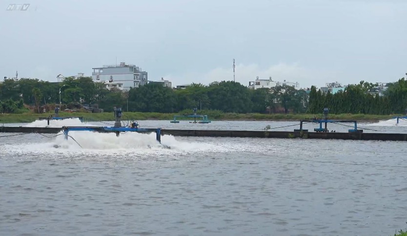 Cùng HTV hành động xanh: Nước sạch cho đô thị bền vững - Ảnh 22.