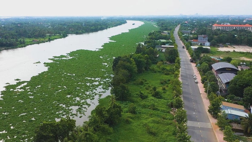 Vươn khơi - Ngày 8/6/2026 | Tính đến ngày 1/6/2026, TP. Hồ Chí Minh thu hút FDI đạt 6,6 tỷ USD. - Ảnh 3.
