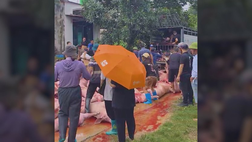 60 Giây Sáng ngày 11/7/2026 | Đồng Nai: Khởi công tuyến đường trọng điểm kết nối sân bay Long Thành - Ảnh 12.