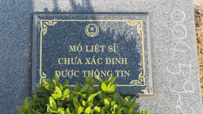 Mẫu ADN - nối nhịp tri ân  - Ảnh 2.