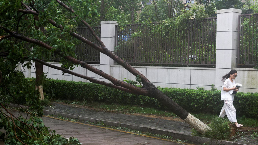 Bão Bavi đổ bộ đất liền Trung Quốc - Ảnh 2.
