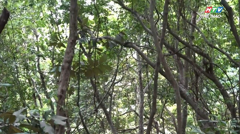 Côn Đảo xanh, sạch và những trải nghiệm đáng nhớ trước thềm giải chạy "Ý chí Côn Đảo" - Ảnh 7.