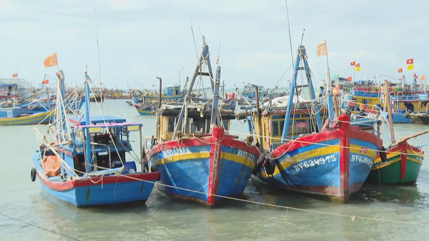 Chủ động gia cố khu neo động, sẵn sàng ứng phò mùa mưa bão  - Ảnh 1.
