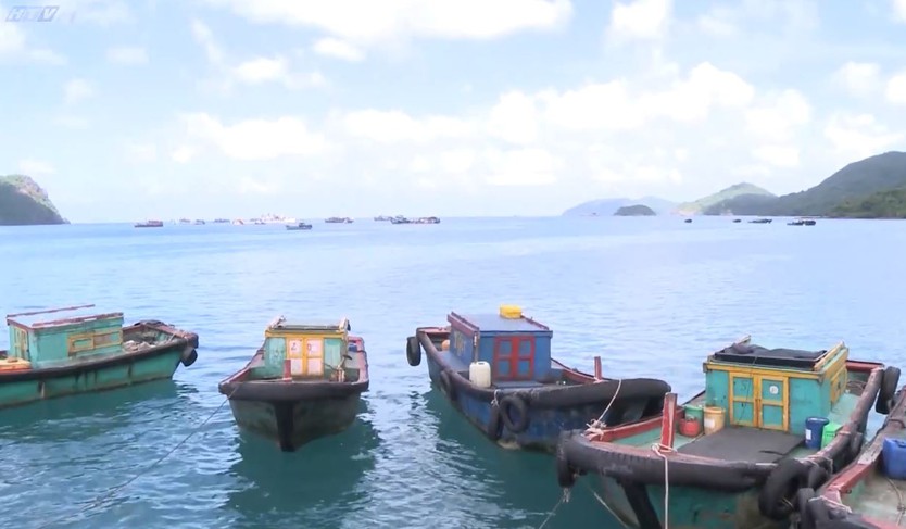 Cùng HTV Hành động xanh: Đại dương cần nhiều hơn những lời kêu gọi - Ảnh 19.