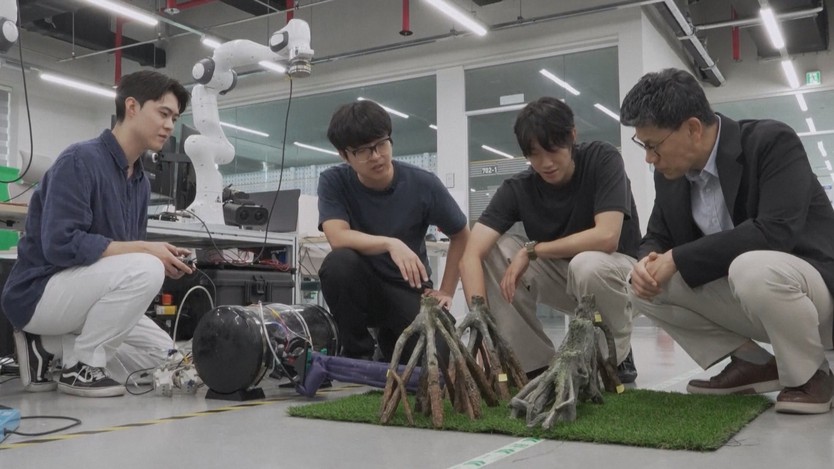 Robot dây leo hỗ trợ mặc nhanh quần áo - Ảnh 1.