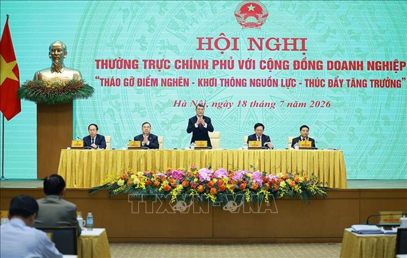 Thủ tướng chủ trì Hội nghị Thường trực Chính phủ với cộng đồng doanh nghiệp - Ảnh 5.
